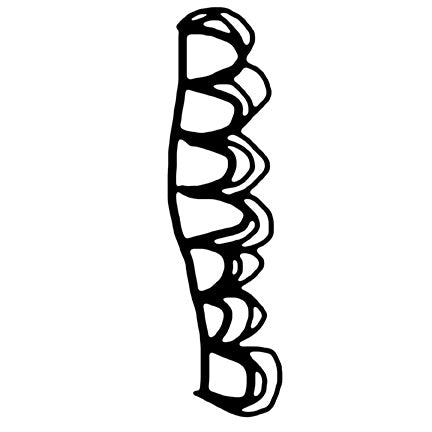 Cat Kerr | Wonky Scallop | Foam Stamp