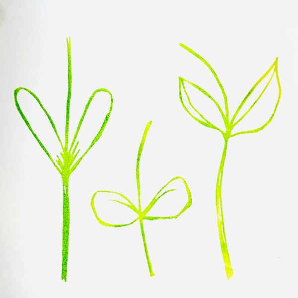 Char DeRouin | All the Leaves and Stems | Art Foam Stamps (Set of 3)