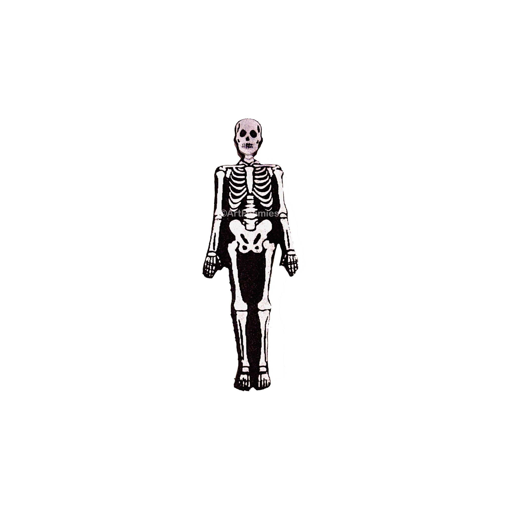 Kae Pea | Bones About It | Foam Stamp